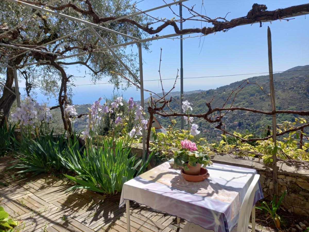 La Casa Di Elda Leilighet Sanremo Eksteriør bilde